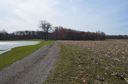 Property photo 85 - REAL ESTATE & PERSONAL PROPERTY AUCTION, 140 Acres offered in 8 Tracts or Combinations in Steuben County